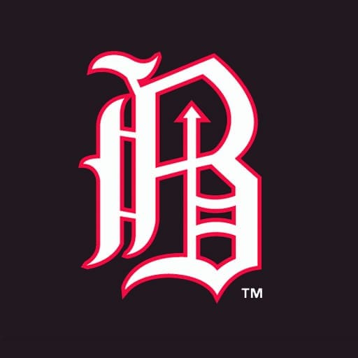 Birmingham Barons Tickets