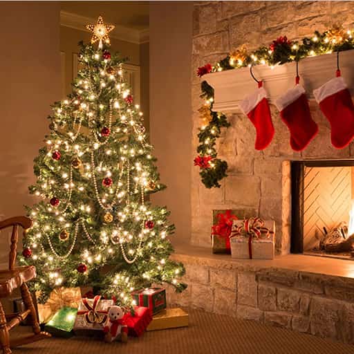 Christmas Show - Joy to The World Montreal Tickets