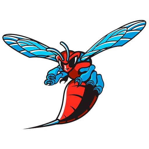Delaware State Hornets Basketball Tickets