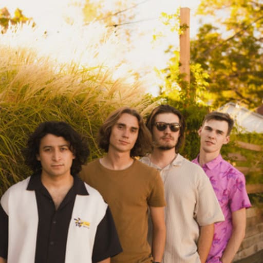 Flamingos in the Tree Montreal Concert Tickets
