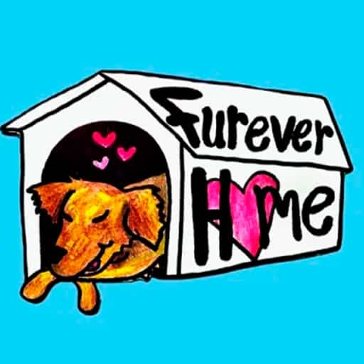 Furever Home in Montreal