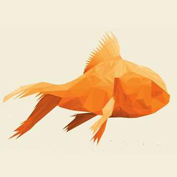Goldfish Montreal Tickets