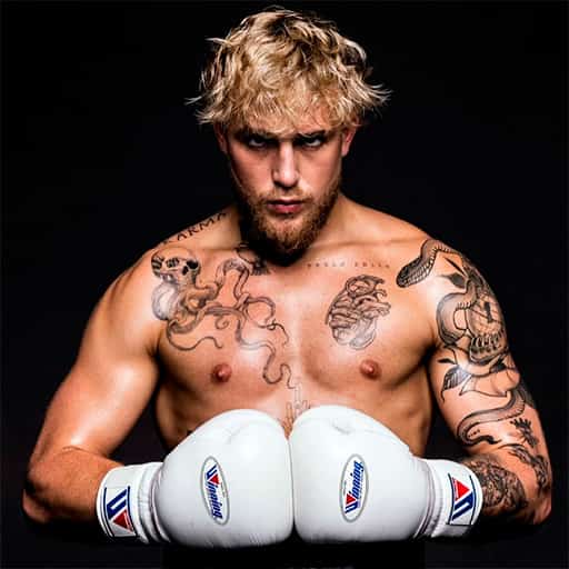 Jake Paul Tickets 2026