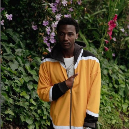 Jerrod Carmichael in Montreal