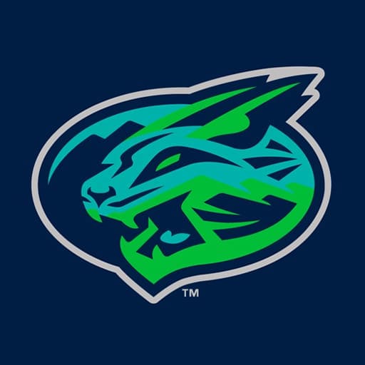 Lynchburg Hillcats Tickets