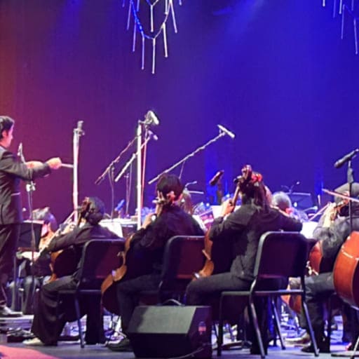 Musical Mindfulness Montreal Tickets