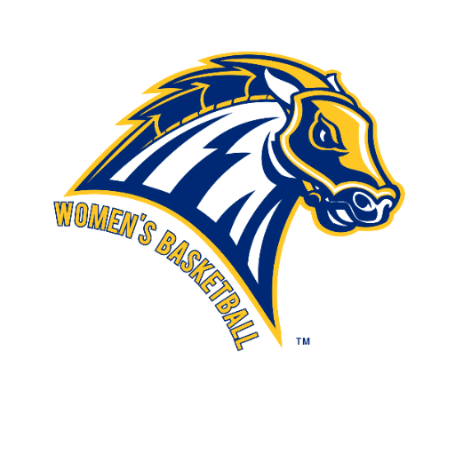 New Haven Chargers Women's Basketball Tickets