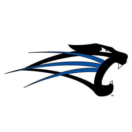 Saint Francis Cougars Basketball Tickets