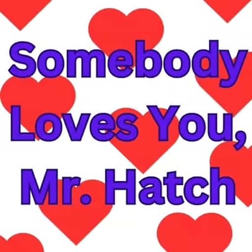 Somebody Loves You Mr. Hatch in Montreal