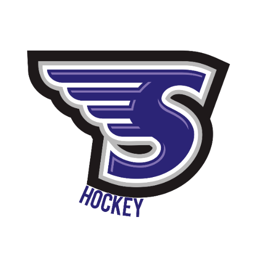 Stonehill Skyhawks Hockey Tickets