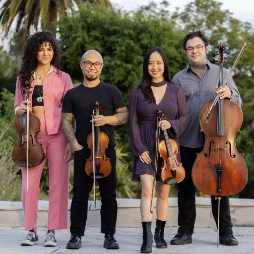 Vitamin String Quartet Tickets